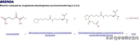 硫辛酸：簡單的分子，強大的功能，以及極易混淆的名稱 - 每日頭條