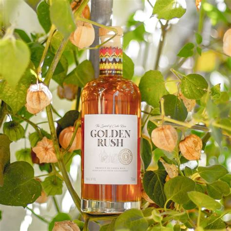 What does Golden berry wine taste like? The benefits of Golden berry wine