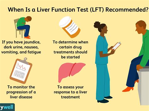 Favorite Tips About How To Lower Liver Alt - Fishreward32