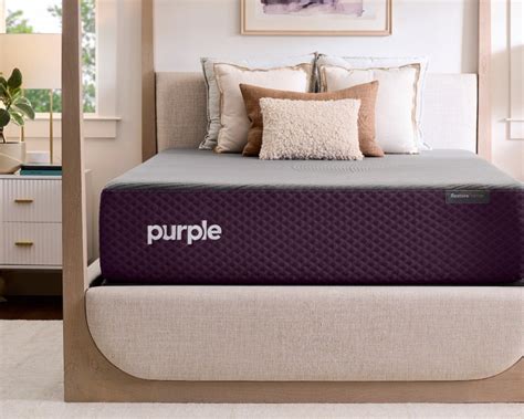 Box Spring Alternative 的图像结果