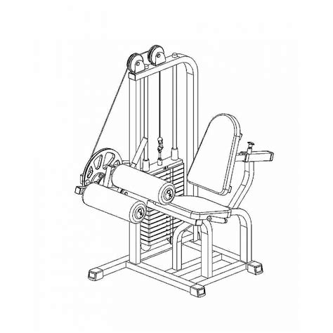 Leg Curl Machine Exercise 的图像结果