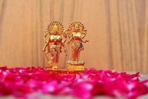 NAVYAKSH Lord Laxmi NARAYAN JI and Vishnu Ji Brass Idol Decorative ...