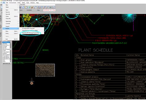 Basic DynaSCAPE Functions 的图像结果