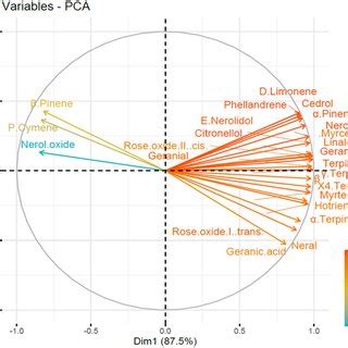 Biplot Interpretation 的图像结果