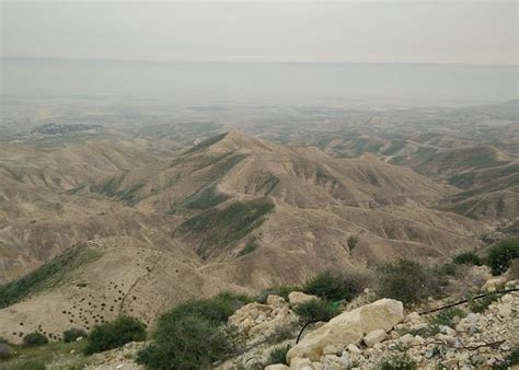 Mitzpe Yeriho Tourism (2022): Best of Mitzpe Yeriho, Palestinian ...