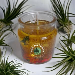 TheNaturalHouse smokeless Fragrance Gel Candle Price in India - Buy ...
