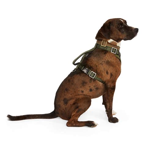 Reddy Dog Harness Jacquard - Pet Supplies online store