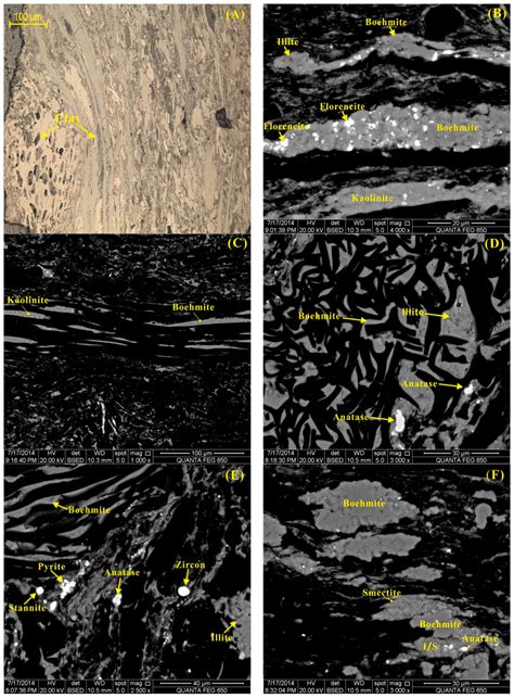 Minerals | Special Issue : Minerals in Coal
