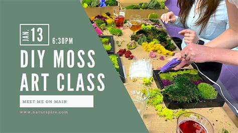 DIY Moss Art Class 6:30, 200 S Rangeline Rd suite 120b, Carmel, 13 ...