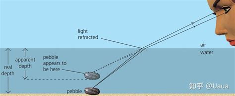Image result for Reverse Graph Computer Science