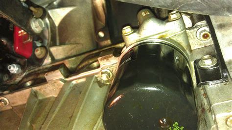 This Ashley Rey Leak Changed EVERYTHING – Here’s How - Truth or Fiction