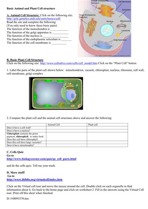 Cells Alive Worksheet Answer Key - Proworksheet
