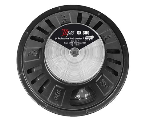 Buy Online Professional Mpro Speaker at Best Price in India