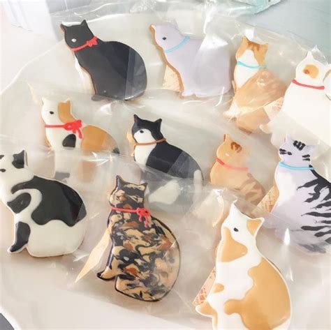 Image result for Cat Chasing Cookies