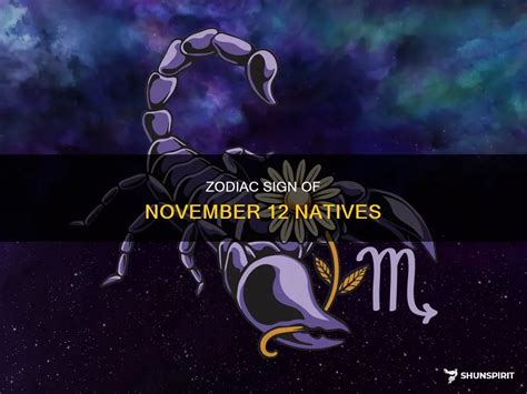 Zodiac Sign Of November 12 Natives | ShunSpirit