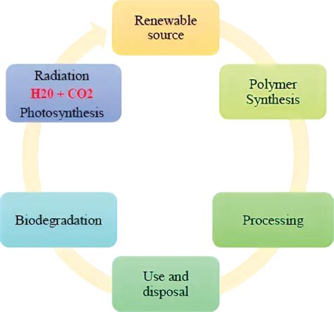 Image result for Biodegradable Polymers Flowchart