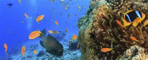 Turismo sostenible para proteger la diversidad biológica | BBVA