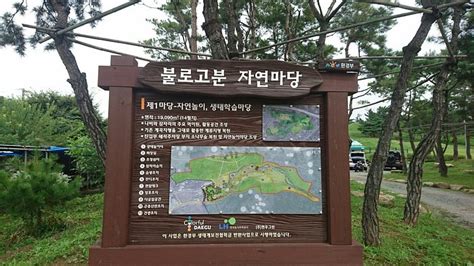 Bullodong Ancient Tomb Park, Daegu - Tripadvisor