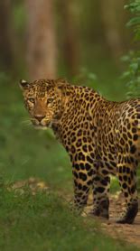 PNR linking feature by IRCTC makes it easy to connect two train ...