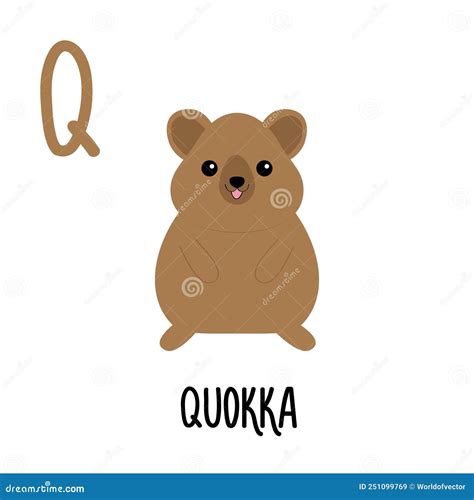 Letter Q Quokka. Animal and Food Alphabet for Kids. Cute Cartoon Kawaii ...