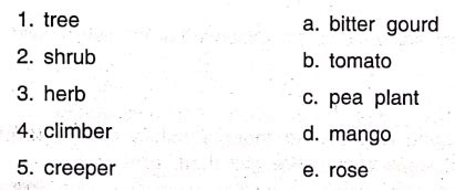 Image result for DAV Science Chapter 2