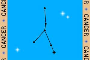 How the Lion's Gate Portal in 2024 Will Affect Your Zodiac Sign