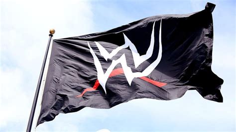 Who owns WWE now?