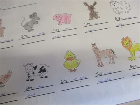 Los Animales - Spanish in KS2 | Windy Nook Primary School