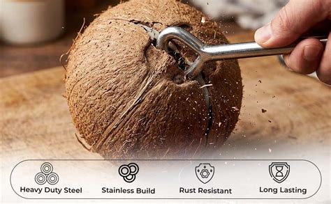 Buy Coconut Opener & Peeler Kitchen Tool Set | Stainless Steel Shell ...