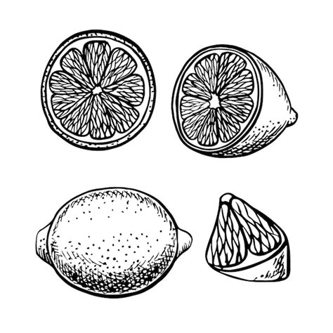 Set with lemons whole cut half and piece vector graphic illustration a ...