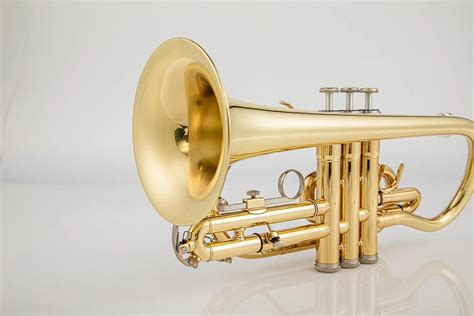 Image result for Cornet Musical Instrument