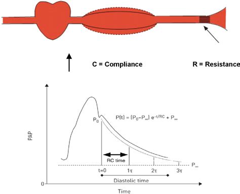 Pulmonary arterial compliance: a physiological variable still searching ...