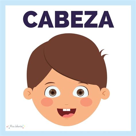 Partes De La Cara Para Imprimir