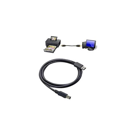 Canon SELPHY CP1300 Wireless Portable Photo Printer India | Ubuy