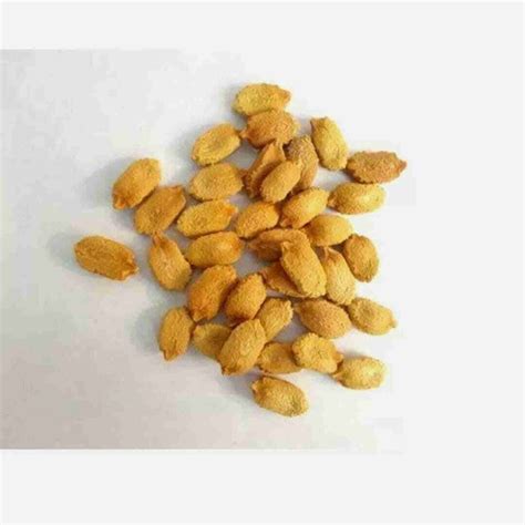 UGRA Japanese Long Bittergourd Seed Price in India - Buy UGRA Japanese ...