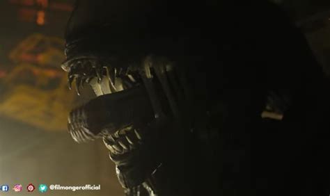 Image result for Alien Romulous Review Behind the Scenes