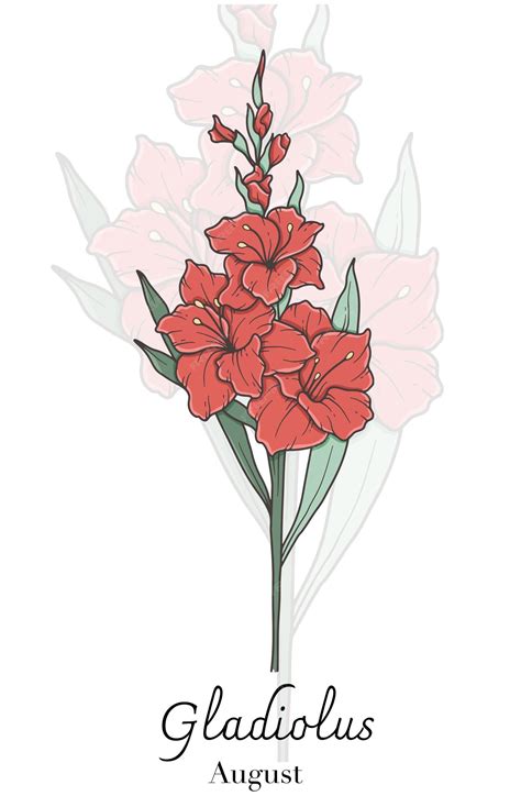 Premium Vector | Gladiolus Line Art Gladiolus flower vector ...