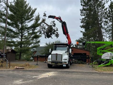 Image result for Tree Removing Machine
