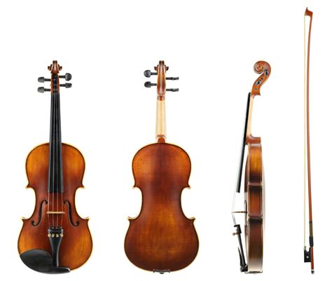 String Instruments Violin 的图像结果