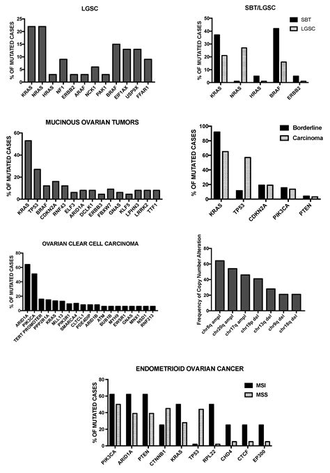 Medicines | Free Full-Text | Ovarian Cancers: Genetic Abnormalities, Tumor Heterogeneity and ...