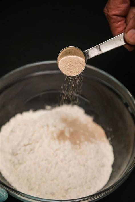 Active Dry Yeast vs Instant Yeast - Chef Tariq | Food Blog