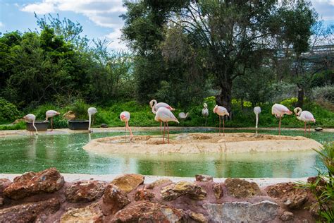 Attica Zoo, Aquapolis Aqua Park