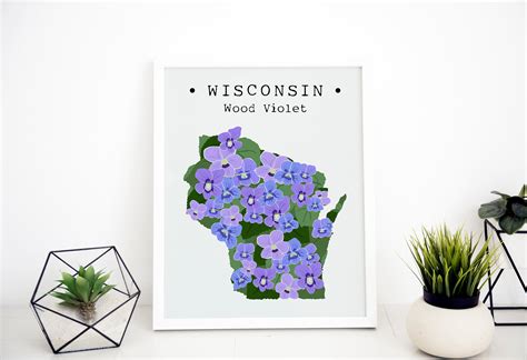 Wisconsin State Flower Wall Art WI Common Blue Violet Print | Etsy