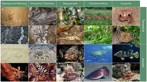 Image result for Applications of Greedy Algorithm