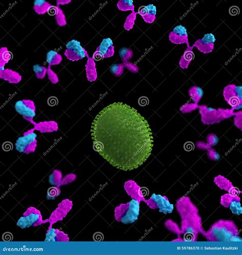 抗体被攻击的病毒 库存例证. 插画 包括有 例证, 免疫, 参与者, 防空, 医学, 抗体, 投反对票, 系统 - 59786370
