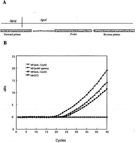 Image result for TaqMan Probe Structure
