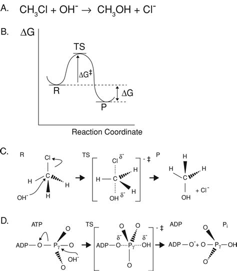 Compare and contrast the reaction coordinate diagrams for chemical ...