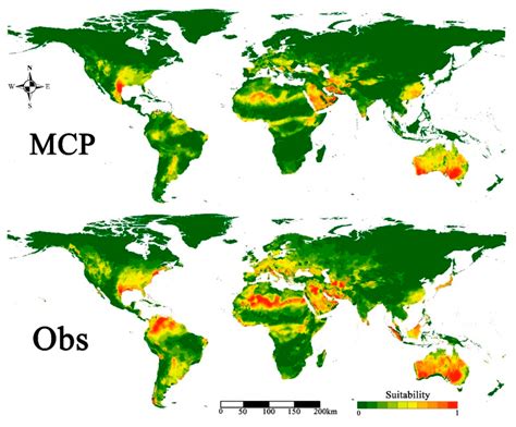 Mapping Potential Distribution of Spodoptera frugiperda (Lepidoptera ...