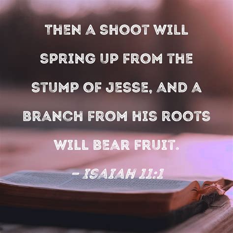 Verse of the Day - Isaiah 11:1 KJV - Highland Park Baptist Church ...