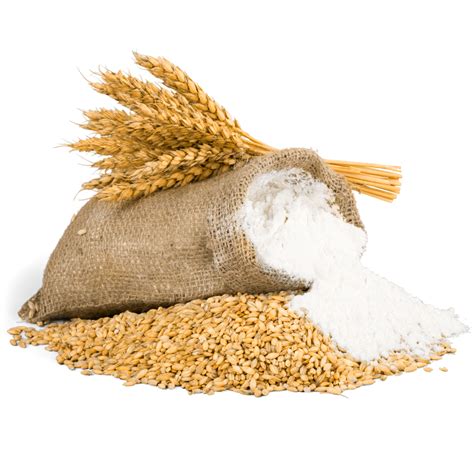 Hydrafuel Lemon & Lime | Electrolyte Boost – WishNew Wellness